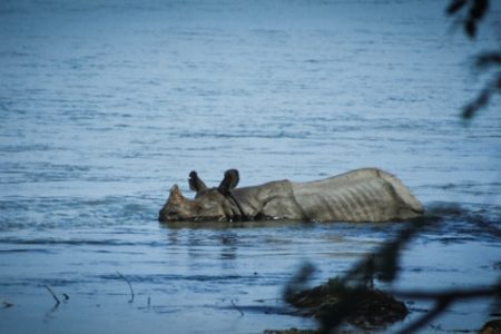 Explore Ecotourism: Live the Adventure that Cares for the Planet